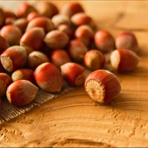 Orzech laskowy Warszawski czerwony START PACK