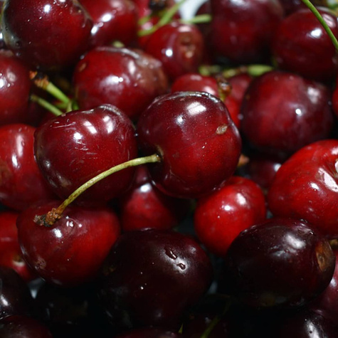 Czereśnia SAMOPŁODNA Staccato Samopylna START PACK