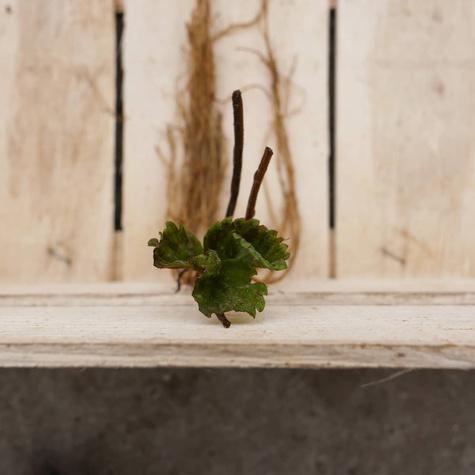 Hurt Truskawka San Andreas 500szt pnąca wisząca powtarzająca owocowanie FRIGO