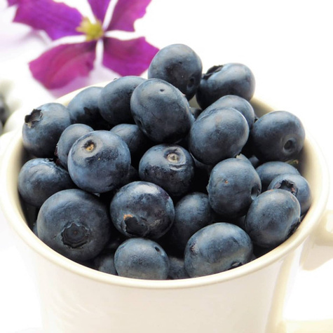 Borówka amerykańska Duke