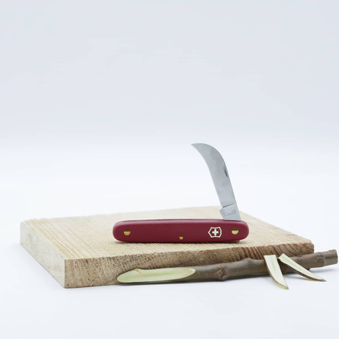 Nóż do przeszczepiania w kształcie sierpaka