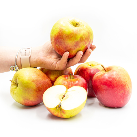 Jabłoń Idared w doniczce (C2)