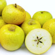 Jabłoń Reneta Landsberska Landzberska START PACK