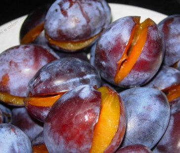 Śliwa Vision START PACK