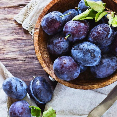 Śliwa typu Haroma START PACK