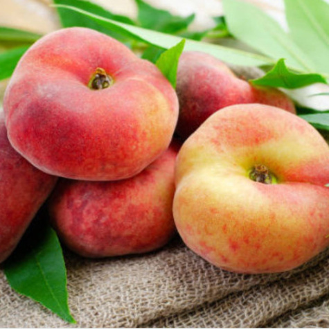 Brzoskwinia płaskoowocowa typu Saturn