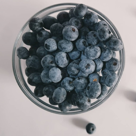 Borówka amerykańska Chanticleer (C2)