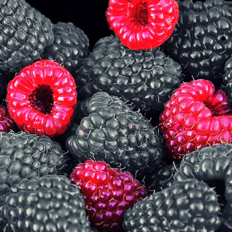 Malina czarna START PACK