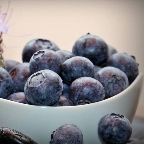 Borówka amerykańska Earliblue sadzonki