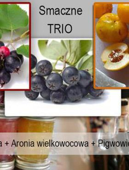 Zestaw zdrowe TRIO do ogrodu i na balkon