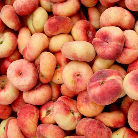 Brzoskwinia płaskowowocowa Paraguayo UFO START PACK