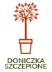 Doniczka forma pienna