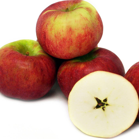 Jabłoń Red Cortland w doniczce