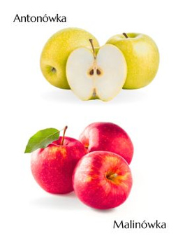 Duo Jabłoń Antonówka + Malinówka Plant Pack