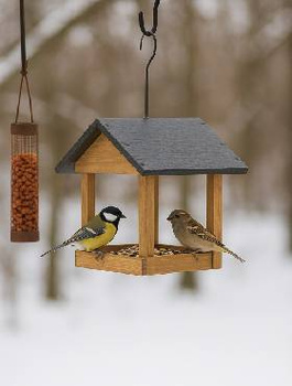 Pokarm dla Ptaków Zimowy Zestaw