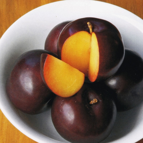 Śliwa japońska Black Amber Mrozoodporna