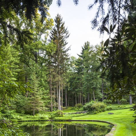 Zestaw Polski Las Iglasty Plant Pack