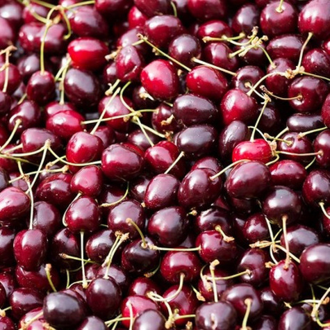 Czereśnia Bawole Serce w doniczce