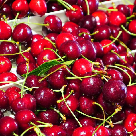 Czereśnia Fabiola w doniczce