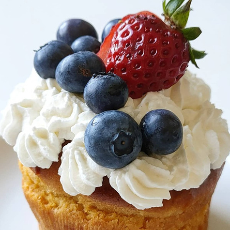 Borówka amerykańska NORTLAND (C5)