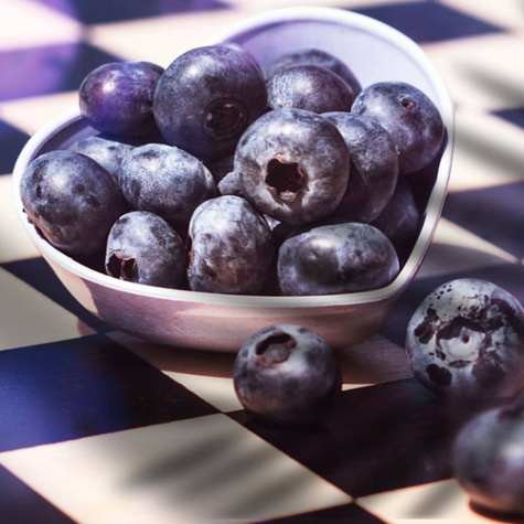 Borówka amerykańska Nelson (C5)