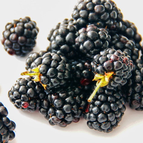 Jeżyna wielkoowocowa bezkolcowa THORLNLESS w doniczce