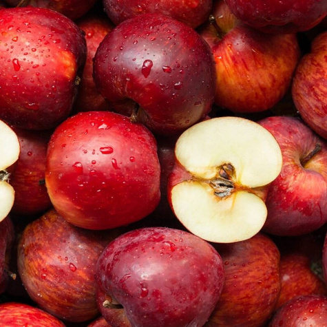 Jabłoń Typu Najdared w doniczce