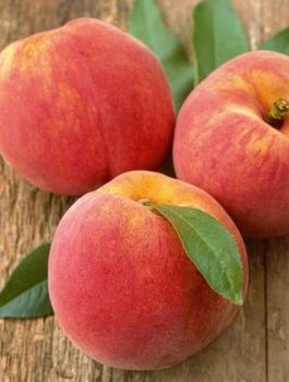 Brzoskwinia Suncrest START PACK