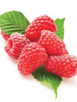 Malina Olbrzymia wczesna START  PACK