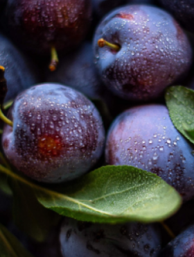 Śliwa typu Durancle START PACK