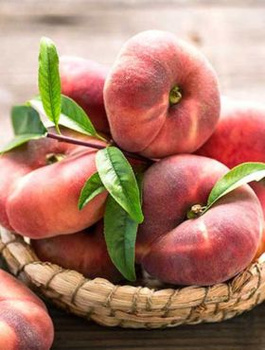 Brzoskwinia płaskoowocowa typu Saturn 