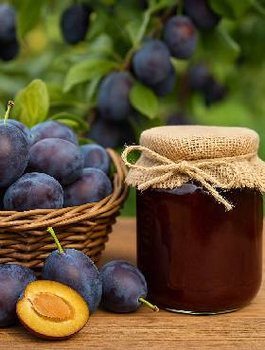 Śliwa Na Powidła Plant Pack