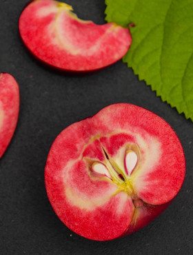 Jabłoń typu Red Loove czerwony miąższ START PACK