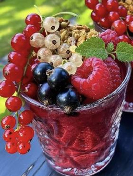 Zestaw Porzeczkowa Rozkosz Plant Pack