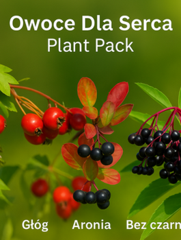  Zestaw Owoce Dla Serca Plant Pack