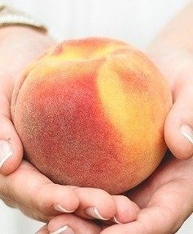 Brzoskwinia typu T5 OWOC WIELKOŚCI JABŁKA 