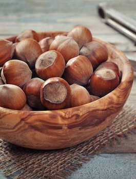 Orzech laskowy Barceloński START PACK