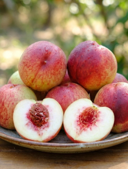  Nektaryna Wczesna Plant Pack