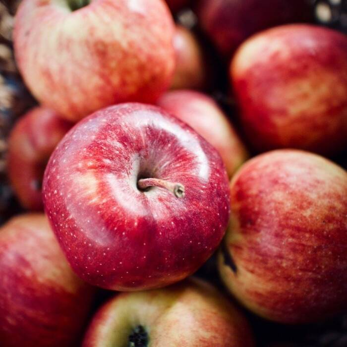 Jabłoń Cortland