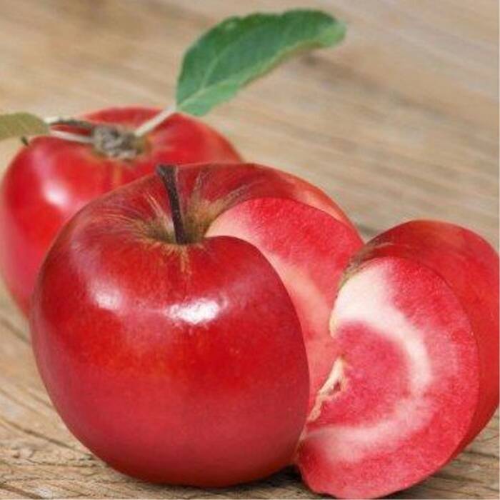 Jabłoń typu Red Loove czerwony miąższ START PACK