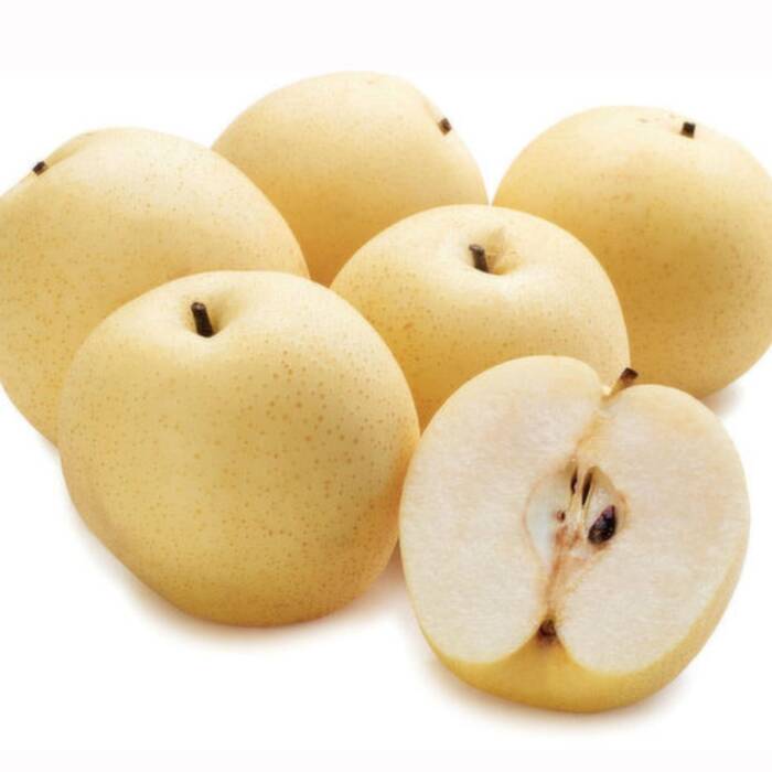 Półkarłowa Grusza japońska jabłkowa START PACK ®